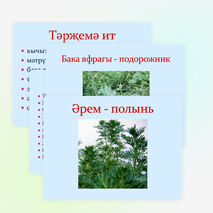 Презентация по татарской литературе