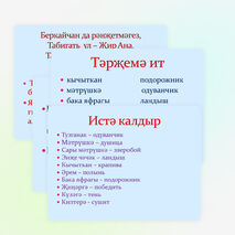 Презентация по татарской литературе