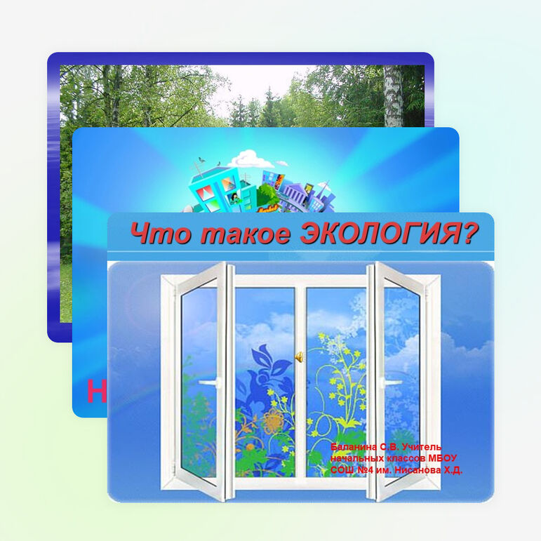 Внеклассное мероприятие на тему: "Что такое экология" (3 класс)
