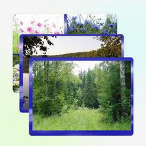 Внеклассное мероприятие на тему: "Что такое экология" (3 класс)