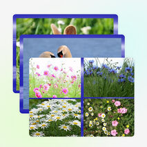 Внеклассное мероприятие на тему: "Что такое экология" (3 класс)