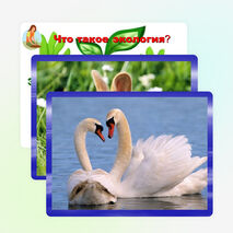 Внеклассное мероприятие на тему: "Что такое экология" (3 класс)