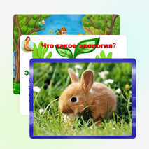 Внеклассное мероприятие на тему: "Что такое экология" (3 класс)