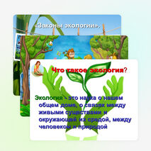 Внеклассное мероприятие на тему: "Что такое экология" (3 класс)
