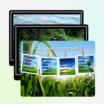 Внеклассное мероприятие на тему: "Что такое экология" (3 класс)