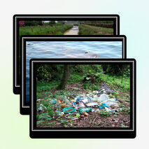 Внеклассное мероприятие на тему: "Что такое экология" (3 класс)