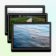 Внеклассное мероприятие на тему: "Что такое экология" (3 класс)