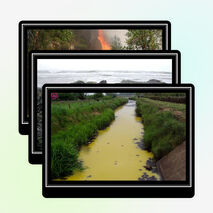 Внеклассное мероприятие на тему: "Что такое экология" (3 класс)