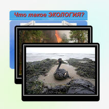 Внеклассное мероприятие на тему: "Что такое экология" (3 класс)