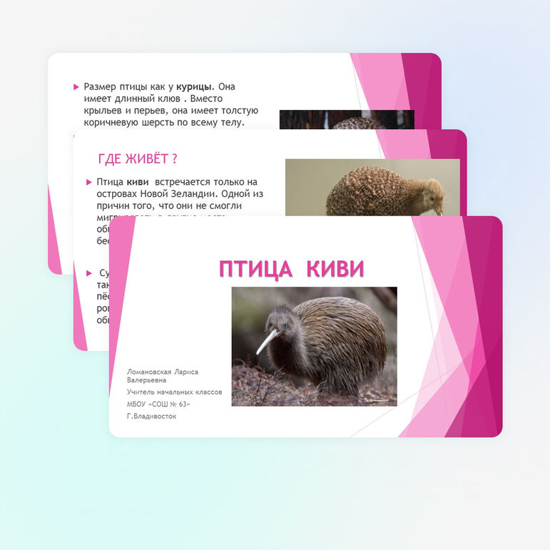 Окружающий мир 3 класс