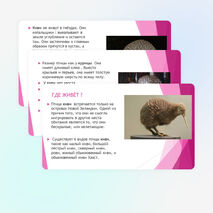 Окружающий мир 3 класс