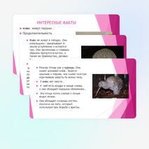 Окружающий мир 3 класс