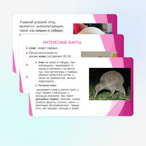 Окружающий мир 3 класс