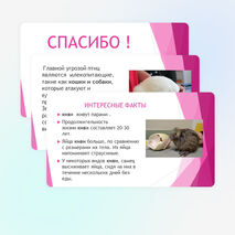 Окружающий мир 3 класс