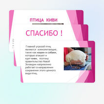 Окружающий мир 3 класс