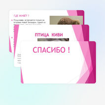 Окружающий мир 3 класс