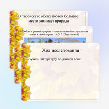 Исследовательская работа по литературе "Изображение природы в творчестве Ф.И. Тютчева и А.А. Фета"