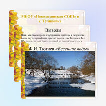 Исследовательская работа по литературе "Изображение природы в творчестве Ф.И. Тютчева и А.А. Фета"