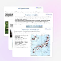 Презентация по географии на тему "Япония"