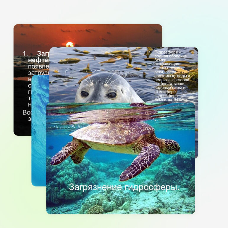 Презентация по технологии "Загрязнение гидросферы"по теме