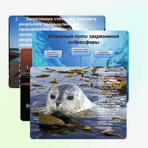 Презентация по технологии "Загрязнение гидросферы"по теме