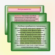 Презентация проекта "Рукотворный мир"