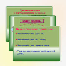 Презентация проекта "Рукотворный мир"