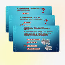 Презентация по русскому языку на тему "Местоимение" 2 класс