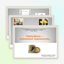 Презентация проекта "Картофель знакомый незнакомец"