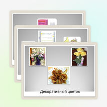 Презентация проекта "Картофель знакомый незнакомец"