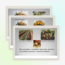 Презентация проекта "Картофель знакомый незнакомец"