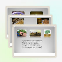 Презентация проекта "Картофель знакомый незнакомец"