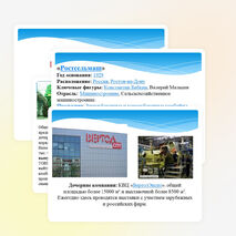 Презентация по экономике "Экономика г.Ростова-на-Дону"