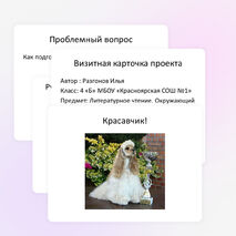 Проект-презентация "Американский кокер спаниель - самая красивая собака"