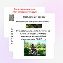 Проект-презентация "Американский кокер спаниель - самая красивая собака"