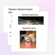 Проект-презентация "Американский кокер спаниель - самая красивая собака"