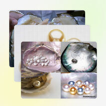 Презентация "Жемчуг- символ совершенства. Законы жемчуга"