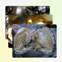 Презентация "Жемчуг- символ совершенства. Законы жемчуга"