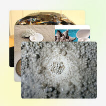 Презентация "Жемчуг- символ совершенства. Законы жемчуга"