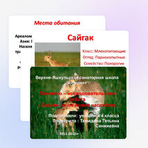 Проектно -исследовательская работа учащихся 4 класса