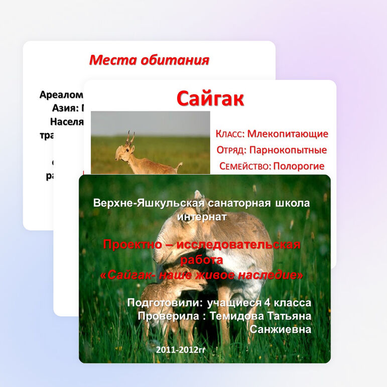 Проектно -исследовательская работа учащихся 4 класса