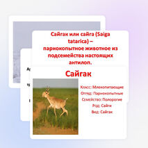 Проектно -исследовательская работа учащихся 4 класса