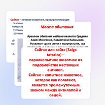 Проектно -исследовательская работа учащихся 4 класса