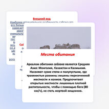 Проектно -исследовательская работа учащихся 4 класса