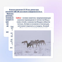 Проектно -исследовательская работа учащихся 4 класса