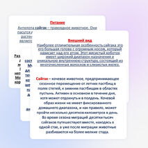 Проектно -исследовательская работа учащихся 4 класса