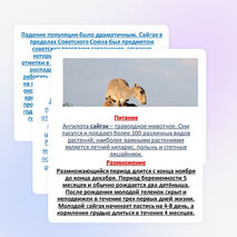 Проектно -исследовательская работа учащихся 4 класса