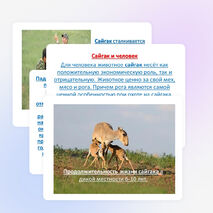 Проектно -исследовательская работа учащихся 4 класса