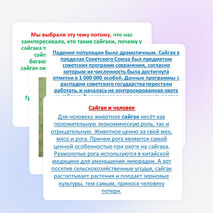 Проектно -исследовательская работа учащихся 4 класса