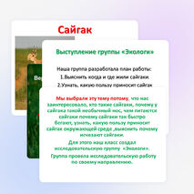 Проектно -исследовательская работа учащихся 4 класса